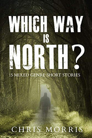 Which Way is North?: 15 Mixed Genre Short Stories