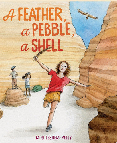 A Feather, a Pebble, a Shell