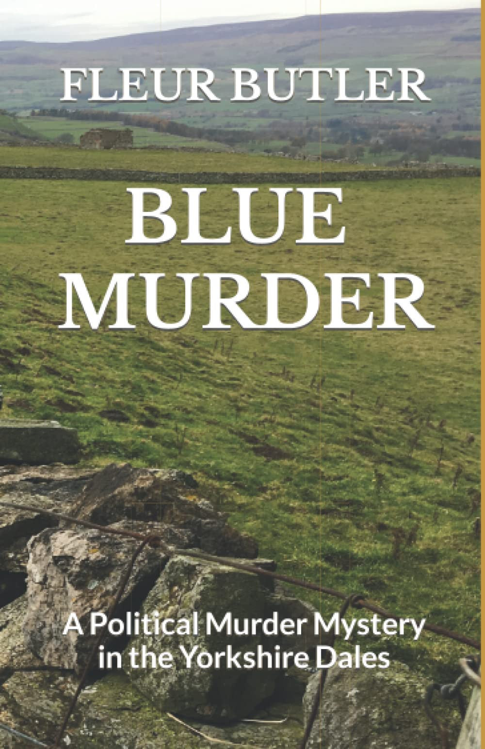 Blue Murder: A Political Murder Mystery in the Yorkshire Dales